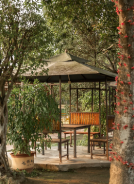 1622083690404498.png 1622083690404498.png