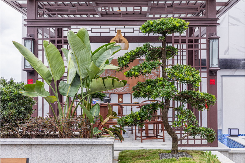 1658826268190286.jpg 圖片3.JPG